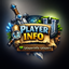 PlayerInfo logo