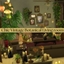 Alphas Maxis Realistic chic Vintage Plant lovers Living room -Living Room logo