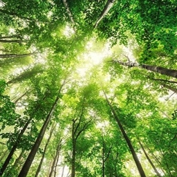 Nature be damned project image