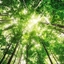 Nature be damned logo