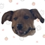 Cozy Friends Gaming Together logo