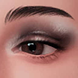 cosmosim eyeshadow N4 old logo