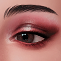 cosmosim eyeshadow N8 old logo