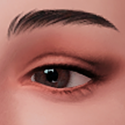 cosmosim eyeshadow N10 old project image