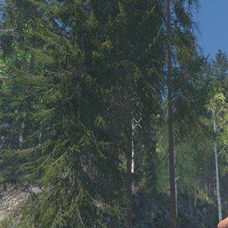 Nordic Forest Biome Pack logo