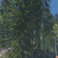 Nordic Forest Biome Pack logo