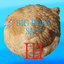 Big Pole SMP III logo