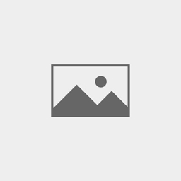 ArenaCore for TaCZ logo