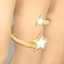 Astra Ring (Caiocc) logo