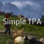 Simple TPA (Teleport Accept) logo