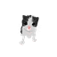 Moops Magical Adventure logo