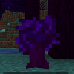 Mystic Forest project image
