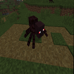 More Spider Types logo