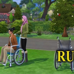 Wheelchair Fuctional  - Russian Translation project image