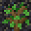 ZiNG's Biomes logo