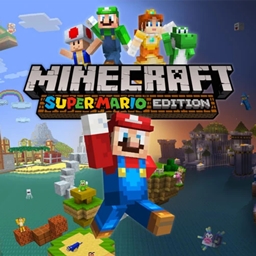 Super Mario MASHUP project image