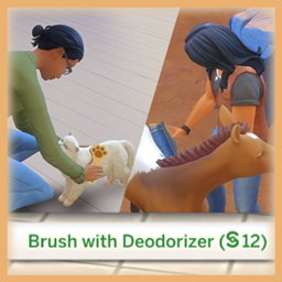 Pet Brushing with Deodorizer logo