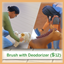 Pet Brushing with Deodorizer logo