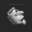 Bigger Watering Can logo