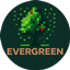 EverGreen Curios Additions logo