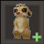 Better Meerkats logo