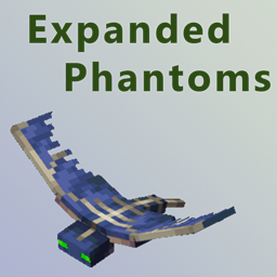 Expanded Phantoms project image