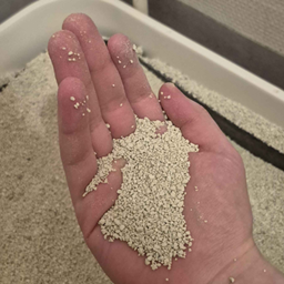You Can Eat da Sand logo
