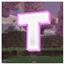 True Visuals Shaders logo