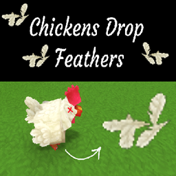 Chickens Drop Feathers logo