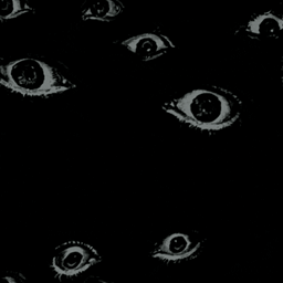 THE SPIDERS project image