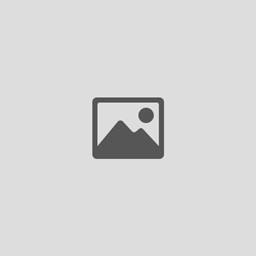 The lost pictures logo