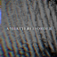 A Shattered Order logo