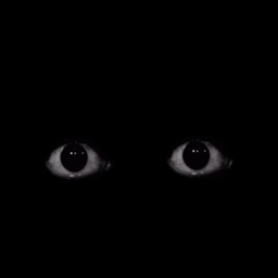 Horror Survival - Multiplayer Edition project image