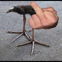 EVIL FunctionCraft project image
