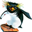 Surf's Up logo