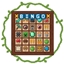 Bingo Schmingo logo
