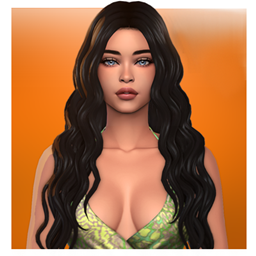 Sophia hairstyle project image