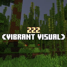 ZZZ VIBRANT VISUAL project image