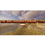 The One And Only Mania - Lite logo