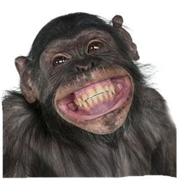 Monkey Jungle Cobblverse