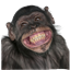 Monkey Jungle Cobblverse logo