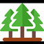 Forestry 101 logo