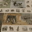Penne's Vintage Animal Pack logo
