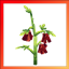 AgriTale - Ore Crops logo