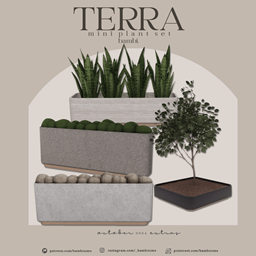Terra logo