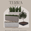 Terra logo