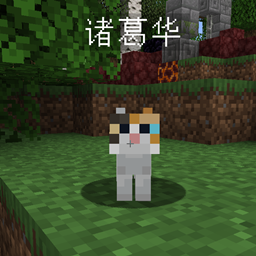 Entity Chinese Name logo