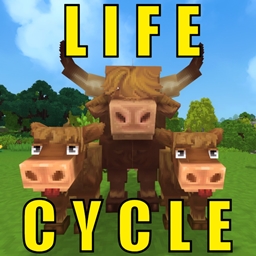 Life Cycle logo