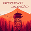 Bear & Fox - Experiments Unleashed logo