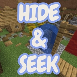 Hide &  Seek project image